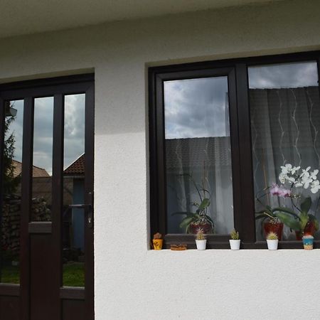 Havasi Gyopar Bed and Breakfast Praid Εξωτερικό φωτογραφία