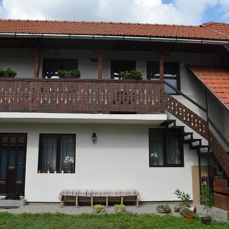 Havasi Gyopar Bed and Breakfast Praid Εξωτερικό φωτογραφία