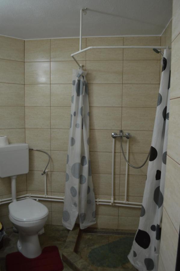Havasi Gyopar Bed and Breakfast Praid Εξωτερικό φωτογραφία